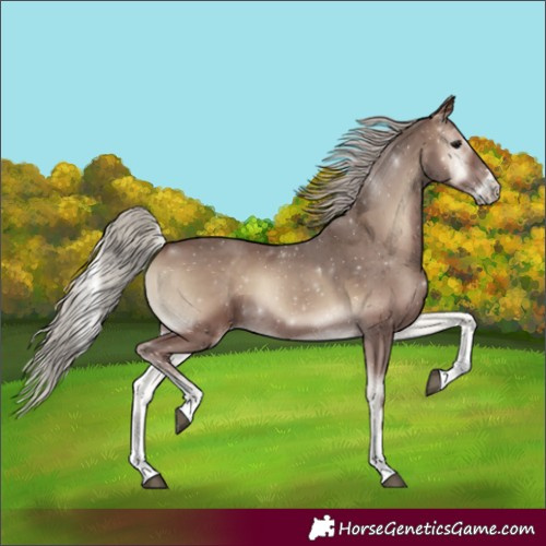 Horse Color:Silver Blue Onyx Sabino 