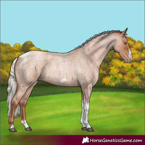 Horse Color:Silver Blue Roan Pearl Tobiano Frame 