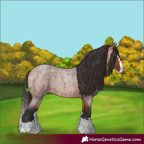 Horse Color:Bay Roan Splash 