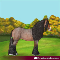 Horse Color:Bay Roan Splash 