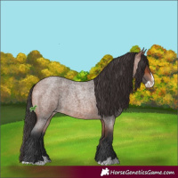 Horse Color:Bay Roan Splash 