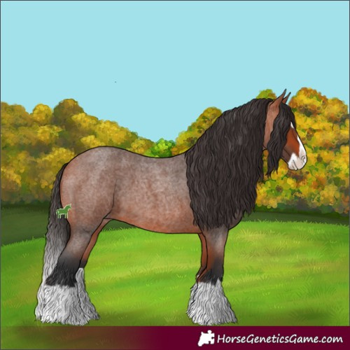 Horse Color:Bay Roan Splash