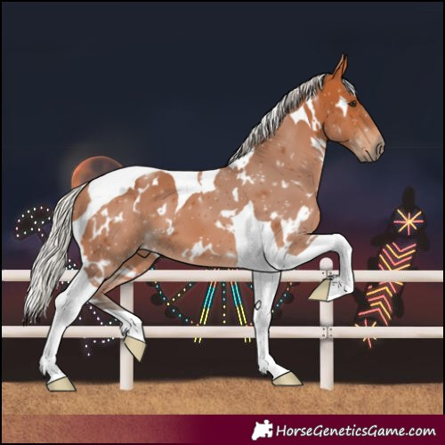 Horse Color:White Spotted Silver Bay Tobiano 