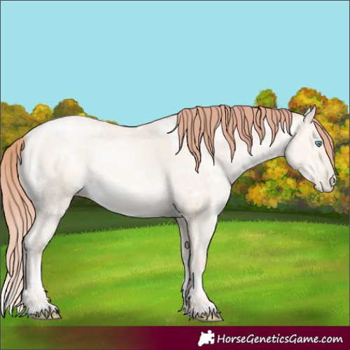 Horse Color:White Spotted Sable Champagne Snowdrop Pearl Dun Rabicano 