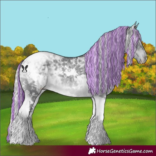 Horse Color:Painted White Spotted Silver Black Chinchilla Ice Tobiano 