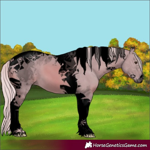 Horse Color:Void Watercolor Palomino Tobiano 