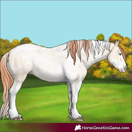 Horse Color:Powder White Amber Champagne Pearl Dun Splash Tobiano Rabicano 