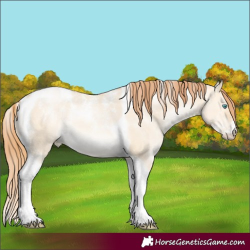 Horse Color:Powder White Brown Snowdrop Pearl Dun Tobiano