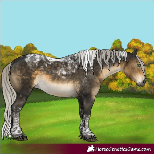 Horse Color:Gray Silver Buckskin Mushroom Tobiano 