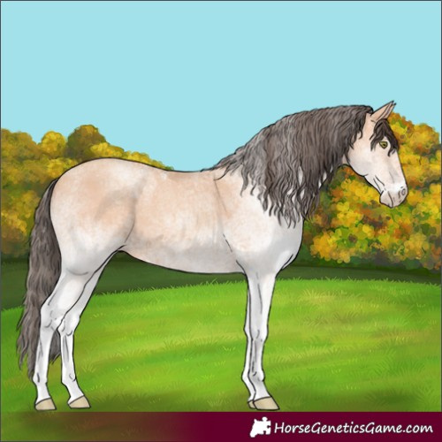 Horse Color:White Spotted Amber Champagne