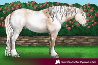 Horse Color:Gray White Spotted Chocolate Silver Smoky Black Pearl