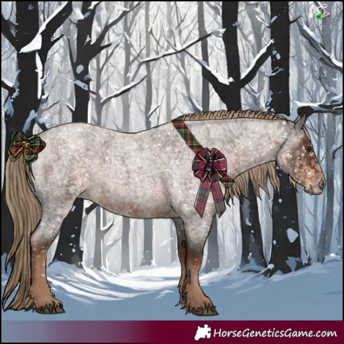 Horse Color:Liver Red Roan 
