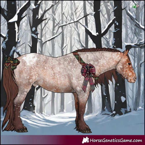 Horse Color:Chocolate Bay Roan Appaloosa