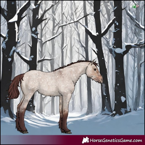 Horse Color:Chocolate Bay Roan Dun 