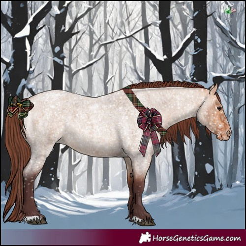 Horse Color:Chocolate Bay Roan Dun Appaloosa 