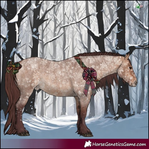 Horse Color:Chocolate Bay Roan Dun