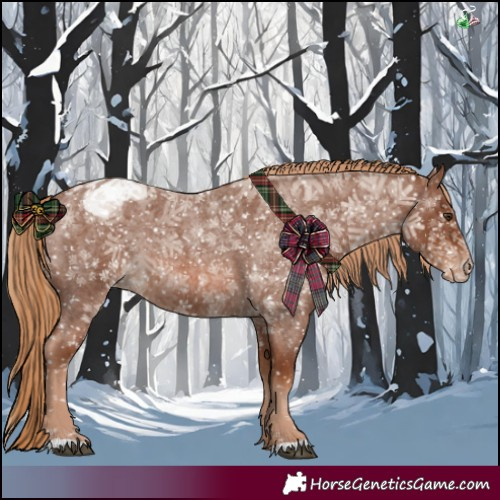 Horse Color:Red Roan Appaloosa 