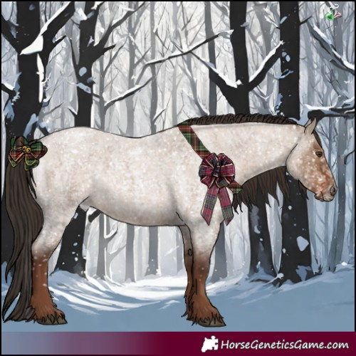 Horse Color:Liver Red Dun Roan 