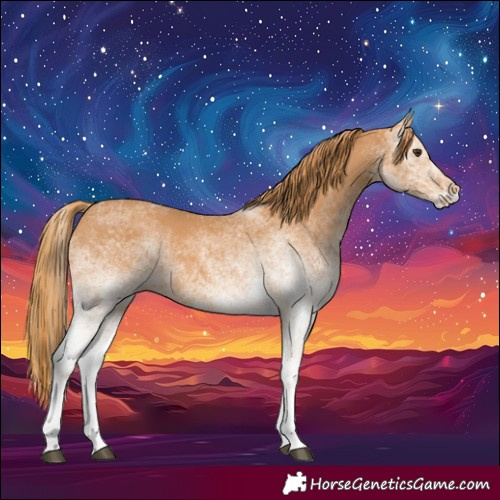 Horse Color:White Spotted Chestnut