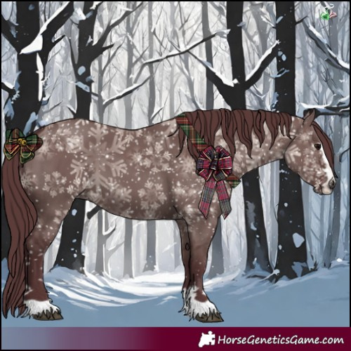 Horse Color:Chocolate Grullo 