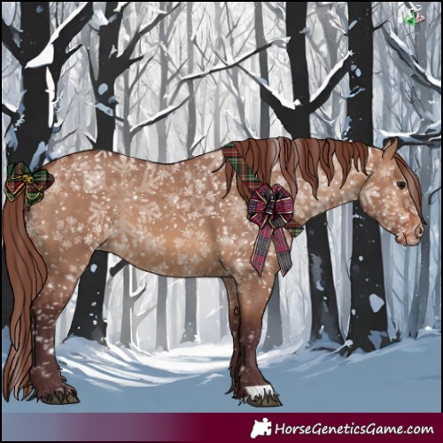 Horse Color:Chocolate Brown Dun Appaloosa 