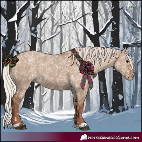 Horse Color:Chocolate Silver Grullo Appaloosa