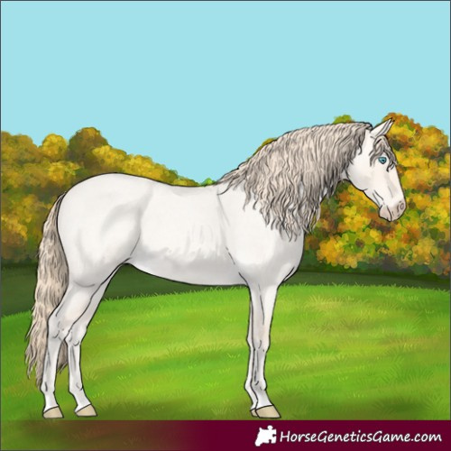 Horse Color:Perlino Roan Dun