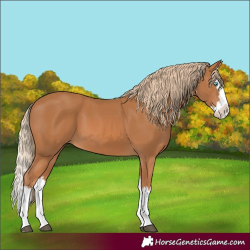 Horse Color:Unknown 