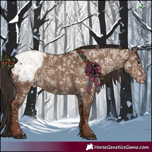 Horse Color:Liver Red Dun Appaloosa