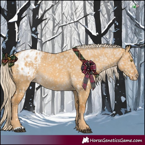 Horse Color:Palomino Dun Snowflake Varnish