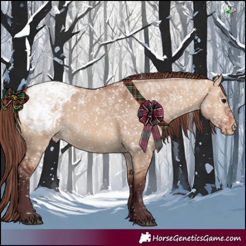 Horse Color:Chocolate Bay Dun Appaloosa 