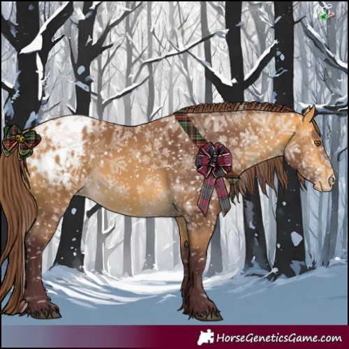 Horse Color:Chocolate Buckskin Appaloosa 