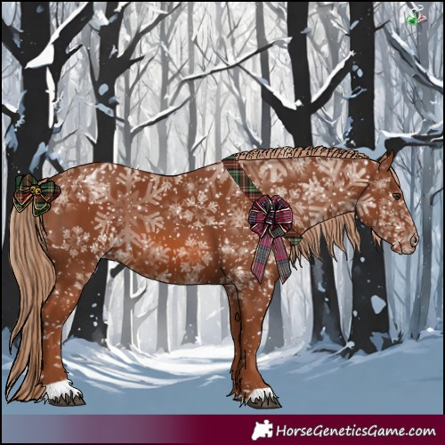 Horse Color:Chestnut Appaloosa