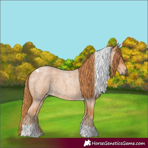 Horse Color:Red Roan Tobiano 