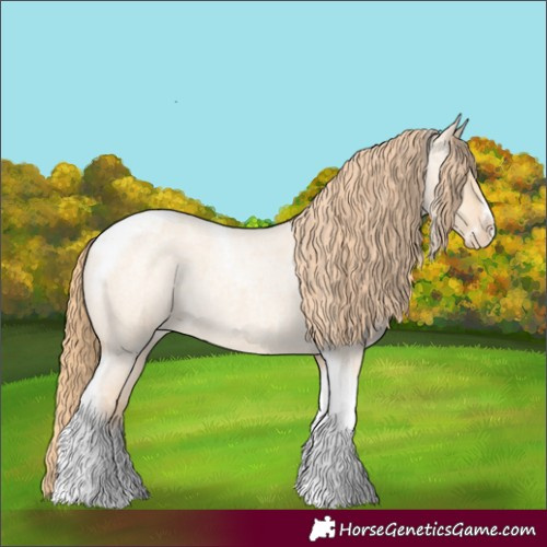 Horse Color:Gold Champagne Roan Dun Splash Tobiano Frame Appaloosa Rabicano 