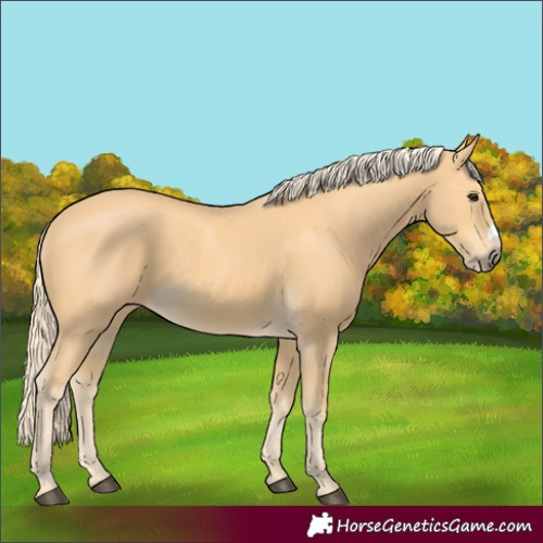 Horse Color:Palomino Frame 