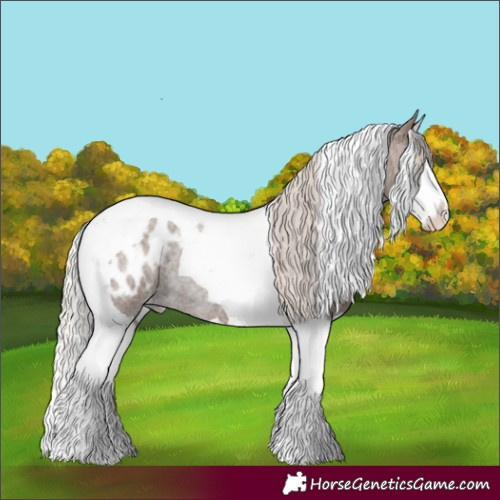 Horse Color:Silver Blue Roan Splash Tobiano Appaloosa Rabicano 