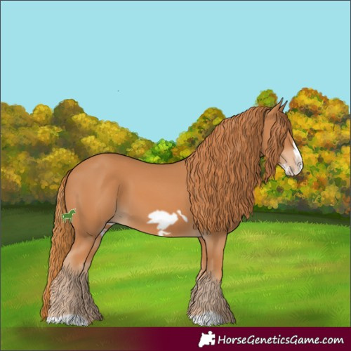 Horse Color:Chestnut Frame