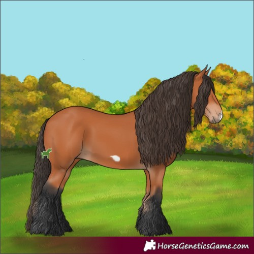 Horse Color:Bay Frame 