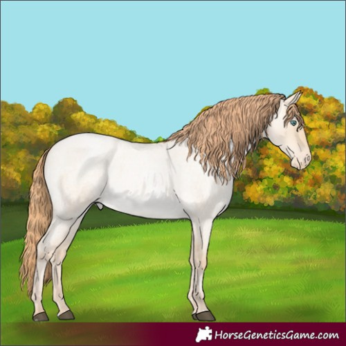 Horse Color:Smoky Grullo Roan Pearl Appaloosa 