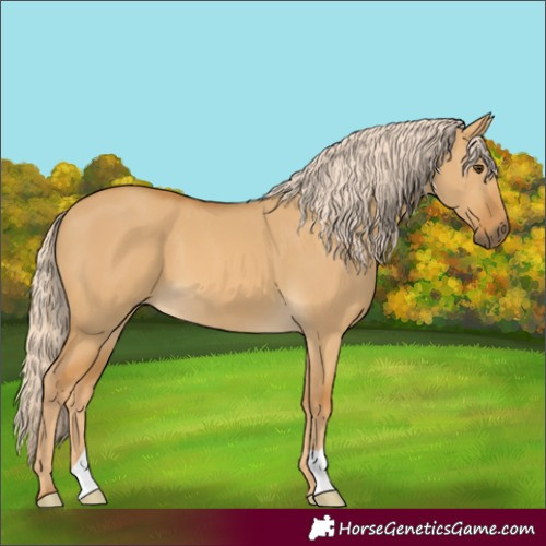 Horse Color:Palomino Dun