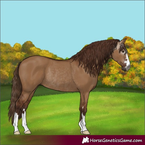 Horse Color:Unknown 