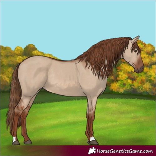 Horse Color:Unknown 