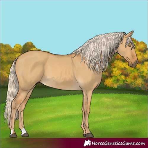 Horse Color:Palomino Dun