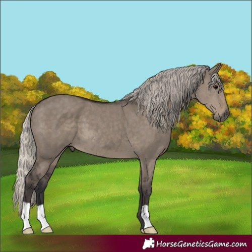 Horse Color:Silver Smoky Grullo 