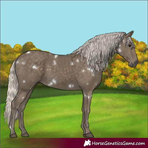 Horse Color:White Spotted Silver Smoky Black 