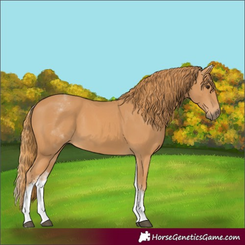 Horse Color:Unknown 