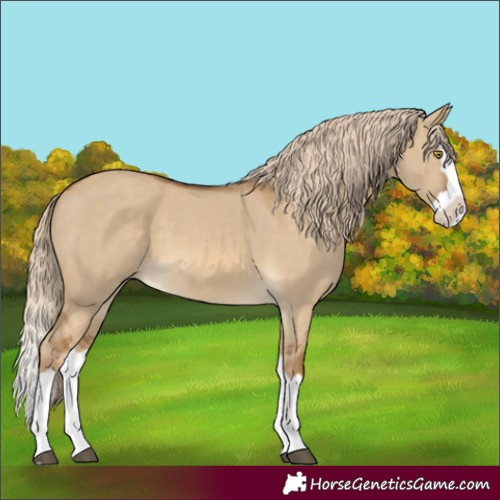 Horse Color:Chocolate Palomino Dun Splash