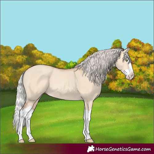 Horse Color:Silver Amber Champagne Dun Splash 