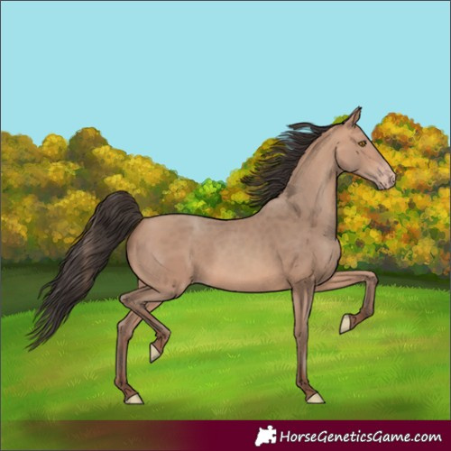 Horse Color:Amber Champagne